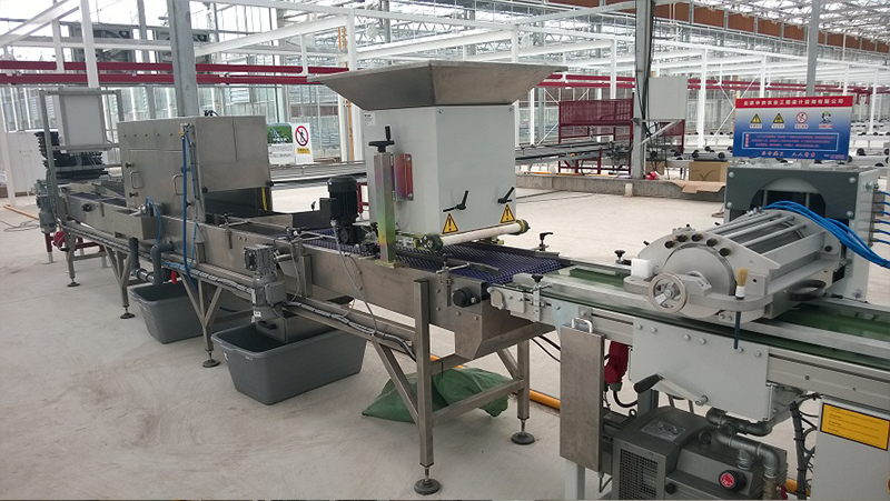 华农-上海项目-播种线3