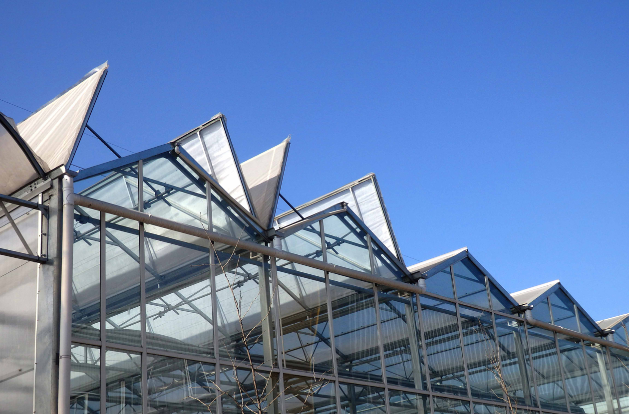 关注华农丨在薄膜温室中应用全开屋面？没错，是真的。