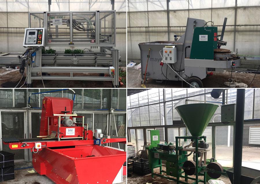 市场 | 现代化花卉生产线在广州上线