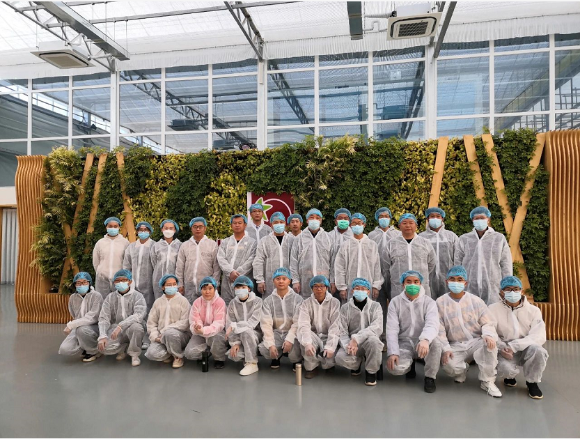 第三届现代温室番茄培训班圆满落幕，“新农人”C位出道！