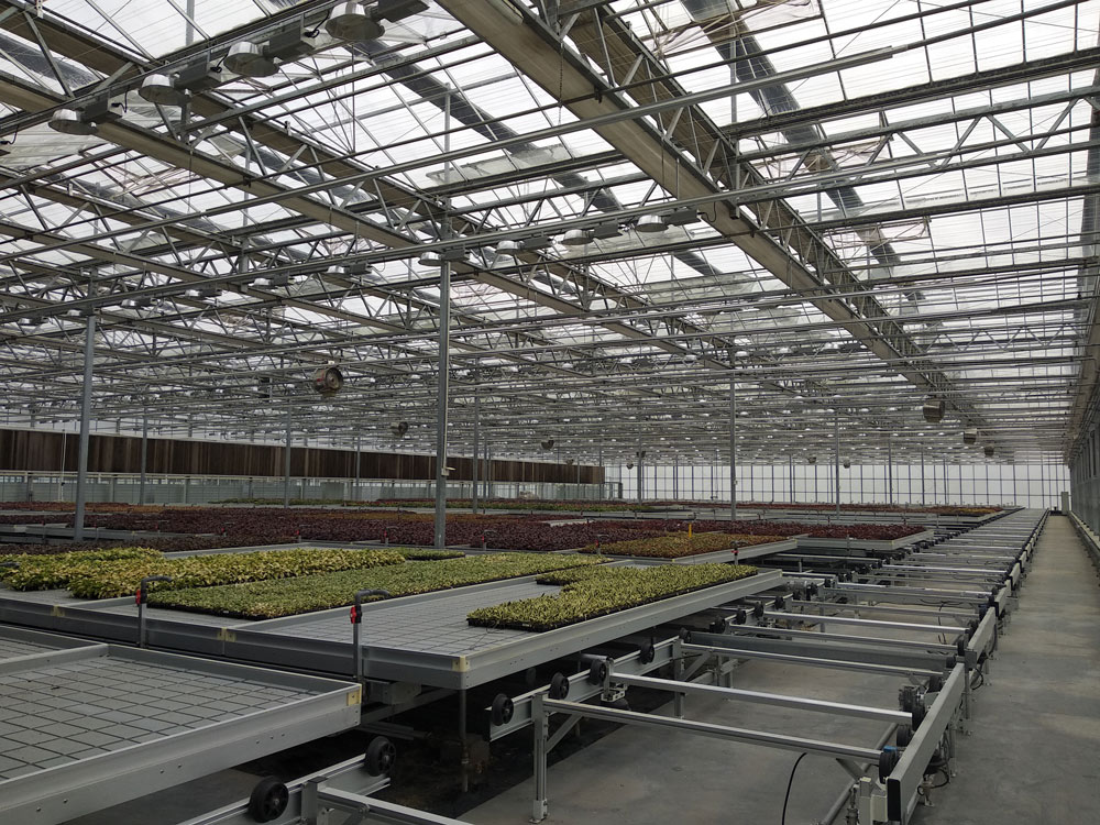 上海花卉种苗育苗温室项目