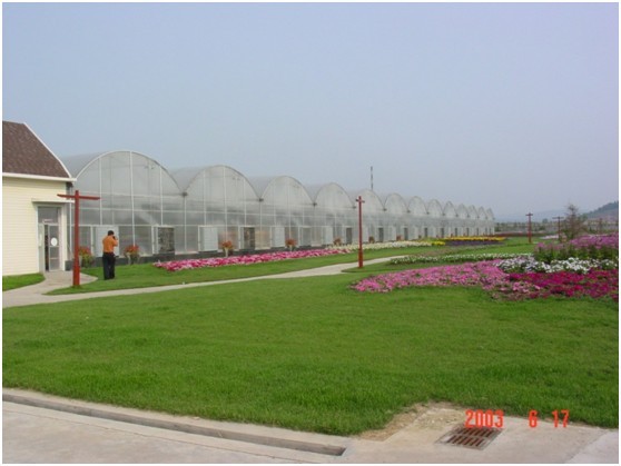 大连荣丰农业科技示范园项目