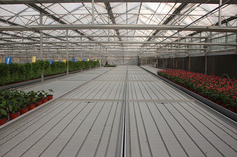 华农-北京潮汐苗床及潮汐灌溉项目