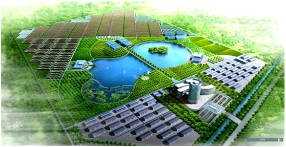 天津滨海津南循环农业科技园区