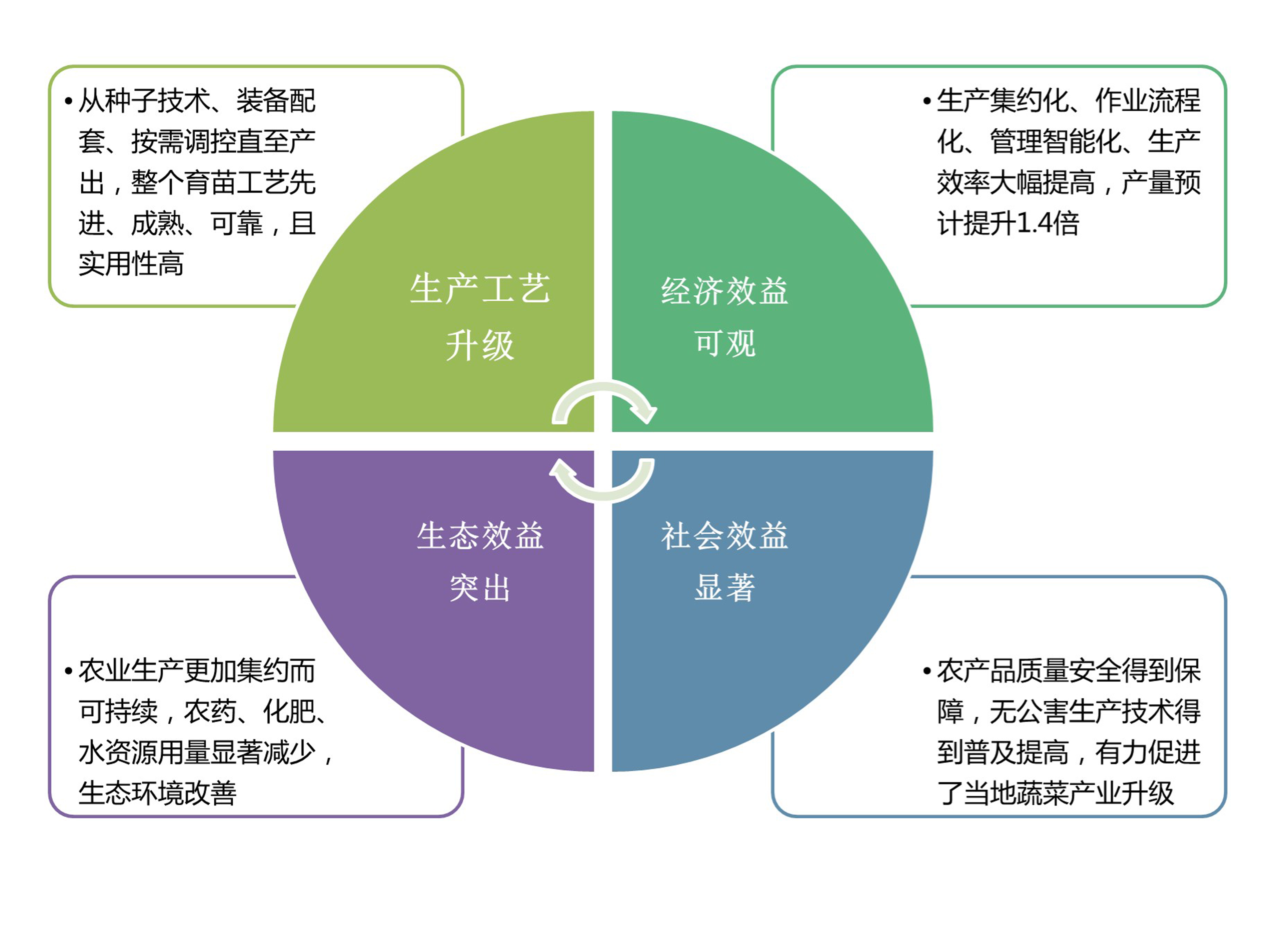 市场｜苗床式潮汐灌溉系统在“日光温室”中的成功应用