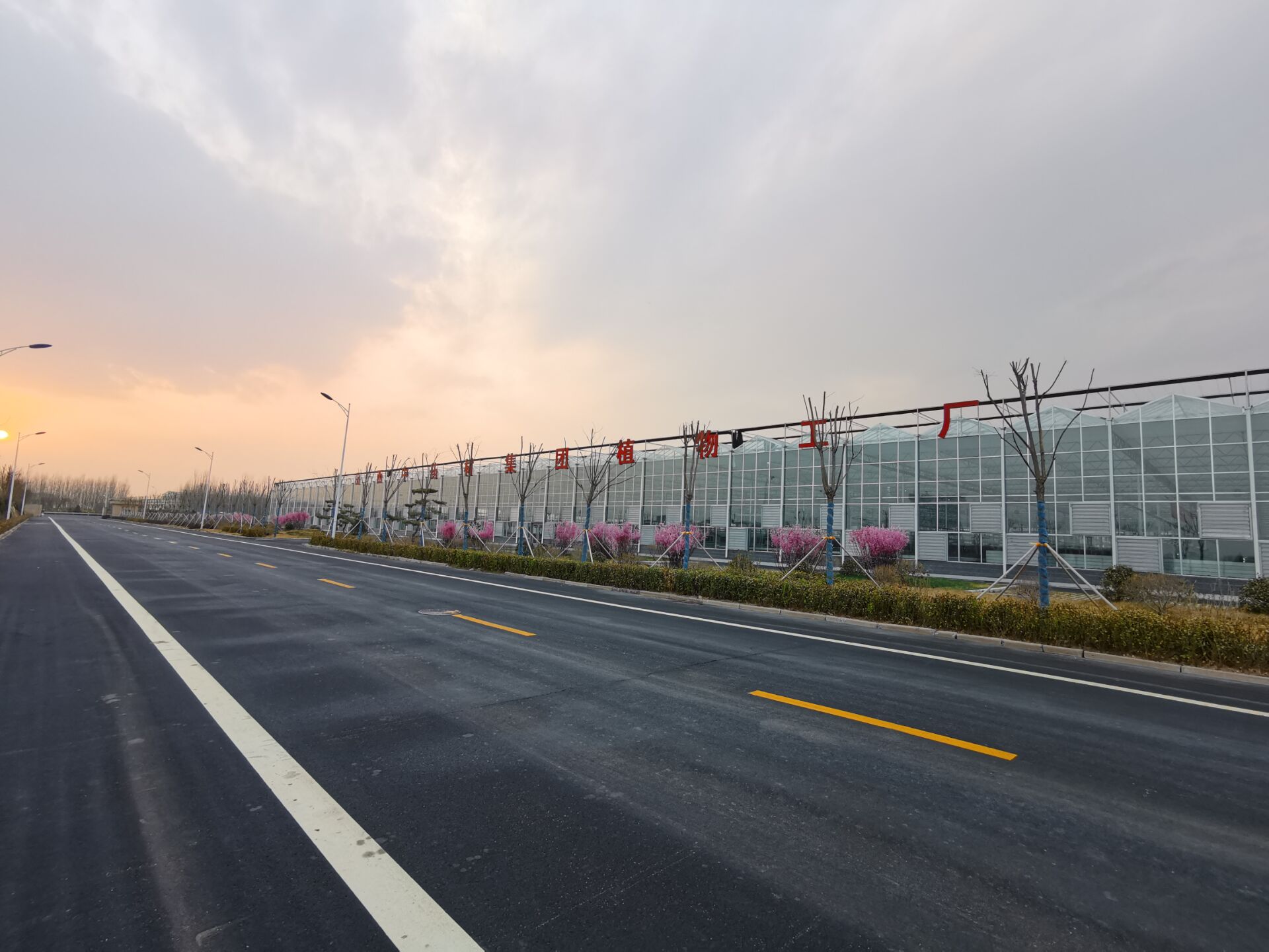 山西省委书记调研农谷-中药材育苗全程自动化成亮点