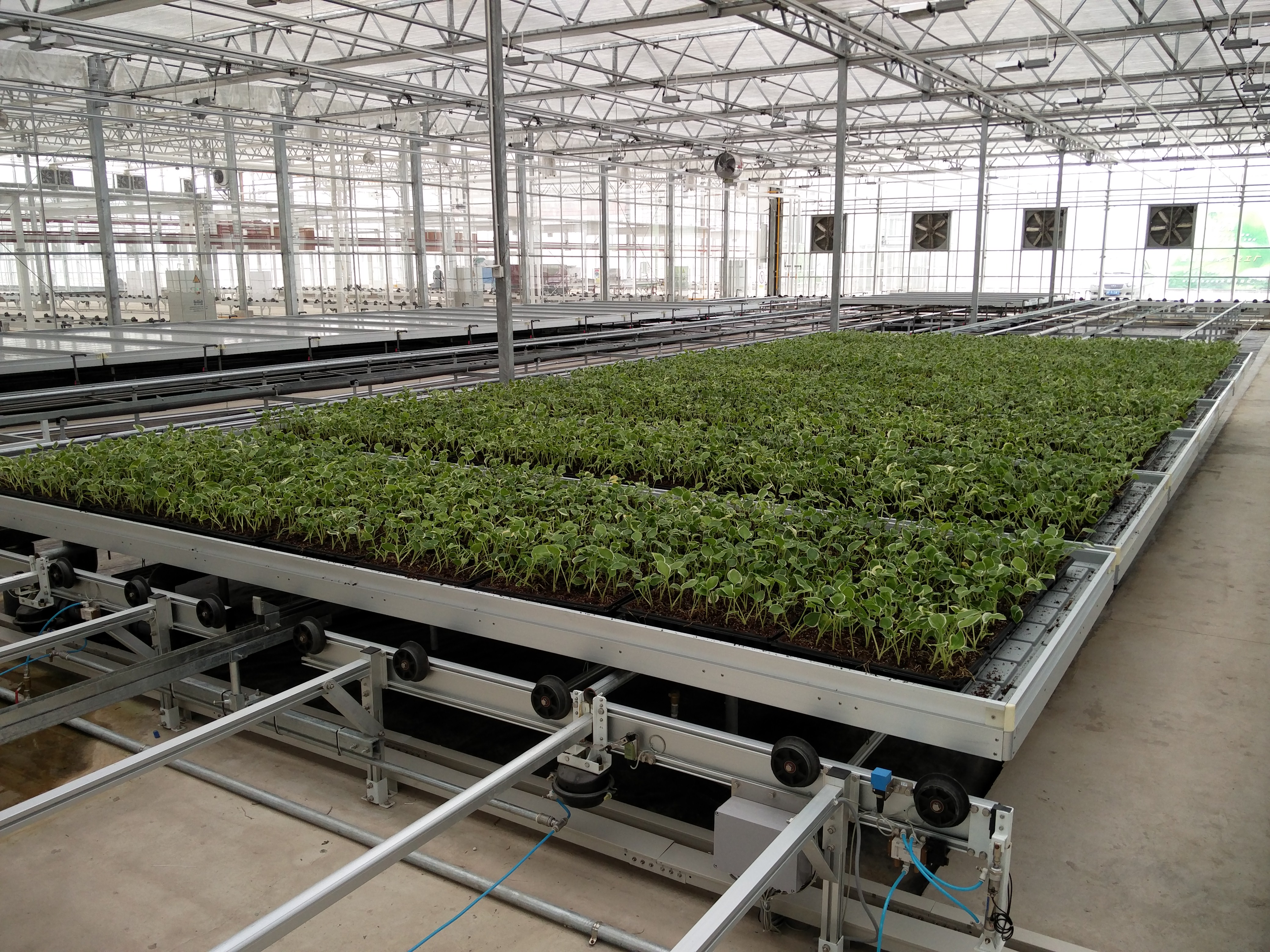 温室智能物流栽培系统（上海项目）