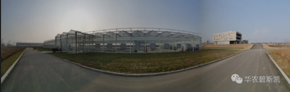 华农又一力作-果树育苗温室全程自动化