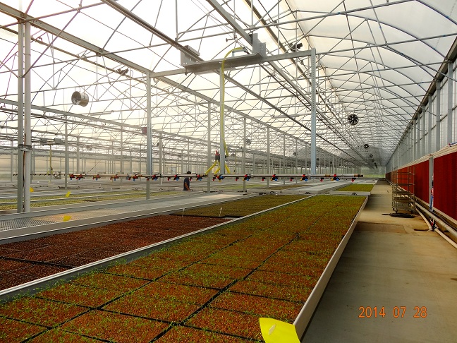 华农-四川进口喷灌机项目