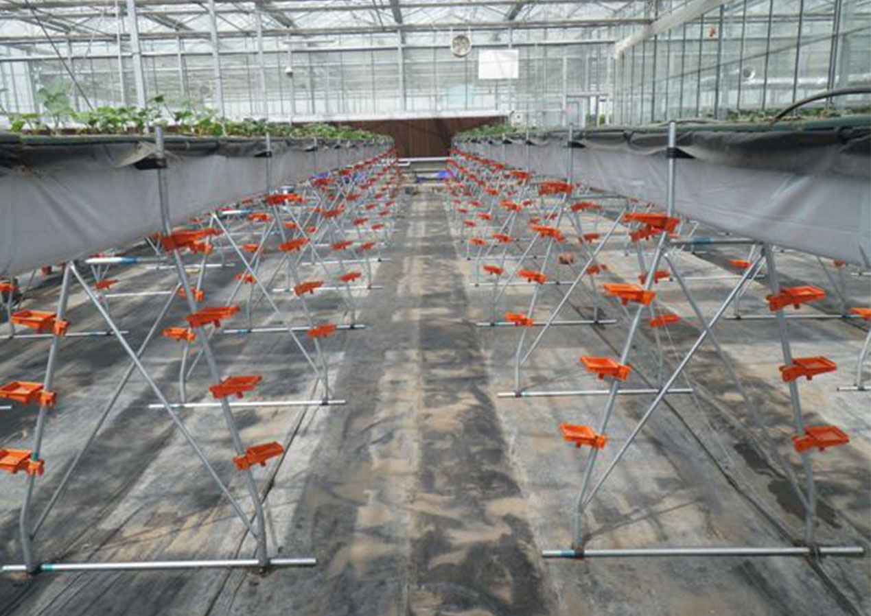 草莓高架分层育苗设备